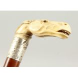 A WALKING STICK with carved ivory handle as a horse's head, with engraved silver band.