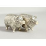 A SMALL PAIR OF NOVELTY .800 PIG SALT AND PEPPERS. 6cms long.