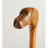 A 20TH CENTURY WALKING STICK, the handle carved as a dog's head. 92cms long.