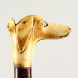 A RUSTIC WALKING STICK, the handle as a carved bone dog's head whistle.