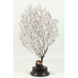 A TREE FORM CORAL SPECIMEN, on turned stand. 62cms high inc. stand.