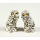 A SMALL PAIR OF NOVELTY .800 OWL SALT AND PEPPERS. 6cms high.