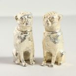 A PAIR OF PLATED DOG SALT AND PEPPERS. 6cms high.