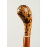 A WALKING STICK with mottled handle. 3ft long.