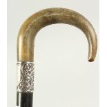 A WALKING STICK with Rhino curving handle and silver band. Circa 1900. 2ft 6ins long.
