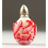 A PEKING CAMEO GLASS SCENT BOTTLE with carp in relief and silver top. 7.5cms.