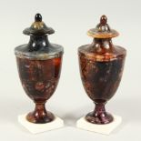 A SUPERB PAIR OF 19TH CENTURY BLUE JOHN URN SHAPED VASES on white square bases. 8.5ins high,