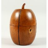 A GOOD MELON SHAPED WOODEN TEA CADDY. 16cms high.