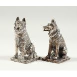 A GOOD PAIR OF HEAVY SOLID SILVER ALSATION DOG SALT AND PEPPERS on rectangular bases. 7cms high.