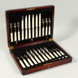 A GOOD SET OF TWENTY-FOUR DESSERT KNIVES AND FORKS with mother-of-pearl handles, in a canteen.