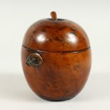 A VERY GOOD LARGE "18TH CENTURY-STYLE" FRUITWOOD APPLE TEA CADDY. 11cm diameter x 13.5cm high.