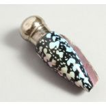 A SMALL SEASHELL SCENT BOTTLE with screw off cap. 6.5cms long.