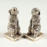 A GOOD PAIR OF HEAVY SOLID SILVER RABBIT SALT AND PEPPERS. 6cms high.