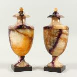 A SUPERB PAIR OF 19TH CENTURY BLUE JOHN URN SHAPED VASES on black square bases. 7.5ins high.