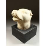 AFTER THE ANTIQUE, A CARVED ALABASTER HEAD OF A DOG, its mouth wide open, mounted on a later black