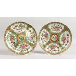 A PAIR OF CANTON CIRCULAR PLATES with birds, insects and flowers. 8ins diameter.