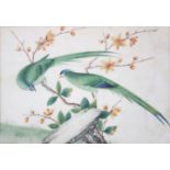 A GOOD CHINESE 19TH CENTURY FRAMED PAINTING ON RICE PAPER OF BIRDS, 29cm high 32.5cm wide