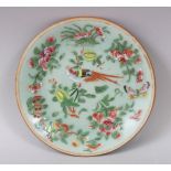 A 19TH CENTURY CHINESE CELADON FAMILLE ROSE PORCELAIN DISH, the dish decorated ith flora and