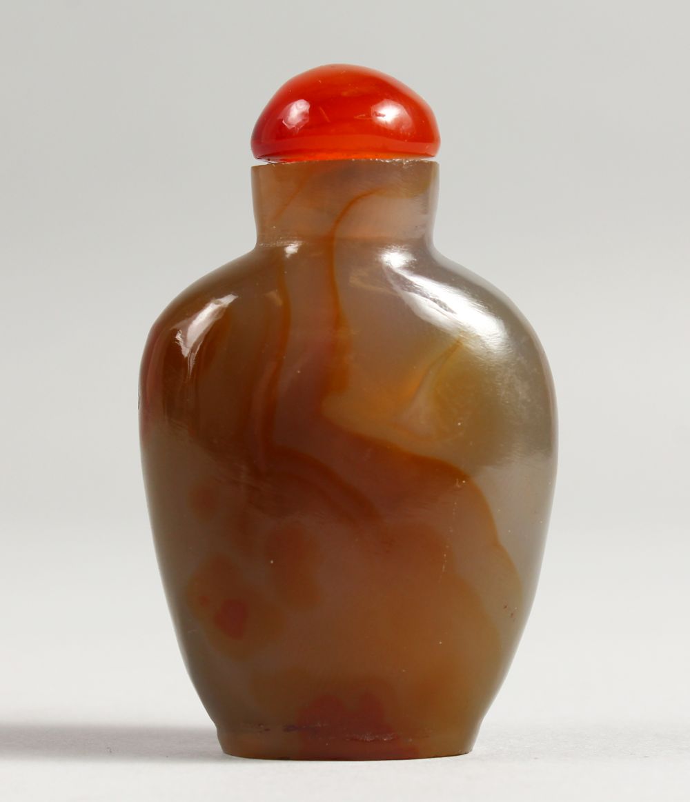 A GOOD AGATE SNUFF BOTTLE.