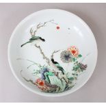 A LARGE CHINESE KANGXI STYLE FAMILLE ROSE SAUCER DISH painted with two birds on a flowering