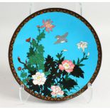 A 19TH CENTURY JAPANESE CLOISONNE ENAMEL DISH, blue ground with flowers and birds. 12ins diameter.