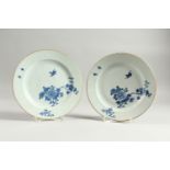 A PAIR OF CHINESE CHIEN-LUNG BLUE AND WHITE PLATES, CIRCA 1760, with chrysanthemums and birds.