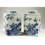 A LARGE PAIR OF SQUARE SHAPE BLUE AND WHITE TEA CADDIES, painted with birds on a prunus tree,