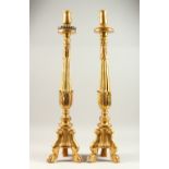 A PAIR OF CARVED AND GILDED ECCLESIASTICAL STYLE ALTAR CANDLESTICKS, 20TH CENTURY. 80cms high.