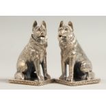 A PAIR OF SOLID SILVER ALSATIAN DOGS SALT AND PEPPERS.