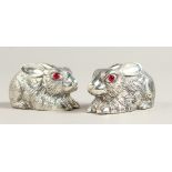 A PAIR OF .800 SILVER RABBIT SALT AND PEPPERS.