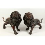 A GOOD LARGE PAIR OF LIONS, standing with snarling expressions. 77cms long.