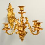 A GOOD SET OF SIX ROCOCO STYLE ORMOLU WALL LIGHT APPLIQUES, with cast backs, single arm supporting a