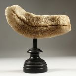 A CORAL SPECIMEN, on turned wood stand. 19cms wide.