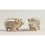 A PAIR OF SOLID SILVER PIG SALT AND PEPPERS.