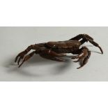 A SMALL BRONZE MODEL OF A CRAB. 12cms wide.