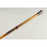 A LONG RHINO HORN CANE, with silver top and band. London 1901. 29ins long.