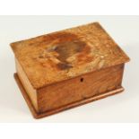 AN OLD MAHOGANY BOX CONTAINING A COLLECTION OF SHELLS. 50cms x 21.5cms wide.