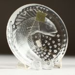 A LALIQUE MOULDED GLASS DISH, with a fish design, labelled CRISTAL LALIQUE, PARIS, engraved Lalique,