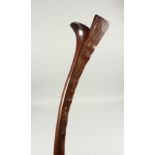 A GOOD FIJIAN CLUB, of curving form with rough hewn back, birds mouth end, with carved grip.