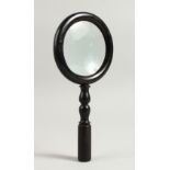 AN EBONY FRAMED MAGNIFYING GLASS. 25cms long.