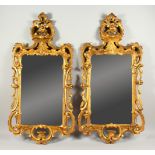 A GOOD PAIR OF 18TH CENTURY SMALL GILTWOOD PIER MIRRORS, the pierced frames carved with 'C' scrolls,