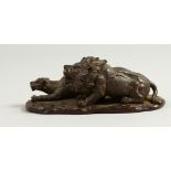 A SMALL BRONZE OF A LION AND LIONESS. 10cms long.
