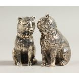 A PAIR OF SOLID SILVER SEATED CAT SALT AND PEPPERS.