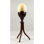 AN OSTRICH EGG, on a turned wood stand with three curving legs. 52cms high.