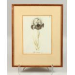 A 19TH CENTURY BOTANICAL WATERCOLOUR, "Iris Susiana". 41cms high.