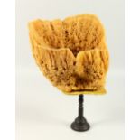 A LARGE SPONGE SPECIMEN, on a turned wood stand. 42cms high.