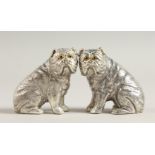 A PAIR OF .800 SILVER BULLDOG SALT AND PEPPERS.