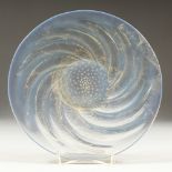 A LALIQUE CIRCULAR IRIDESCENT PLATE, with spiral sardines surrounding a bubbly centre, Circa.