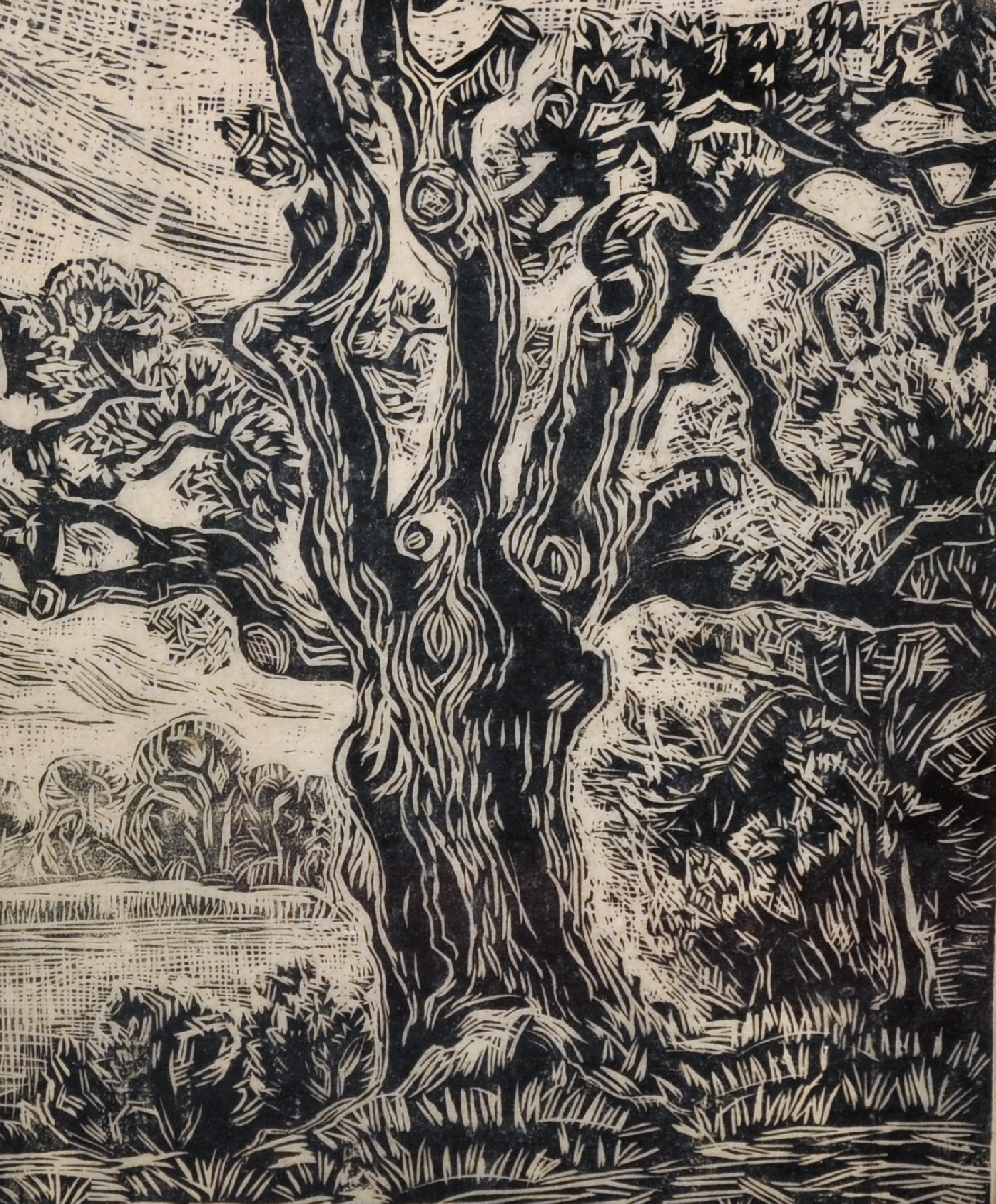 M... Deichelbol... (20th Century) German. Study of a Tree, Woodblock, Indistinctly Signed and