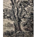 M... Deichelbol... (20th Century) German. Study of a Tree, Woodblock, Indistinctly Signed and